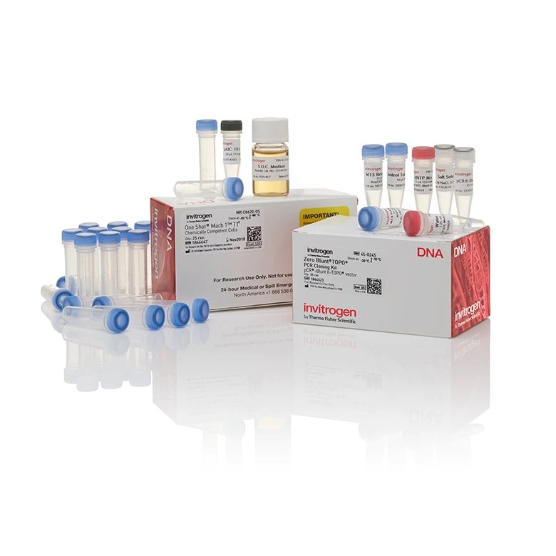 Invitrogen™ Zero Blunt™ TOPO PCR Cloning Kit for Subcloning