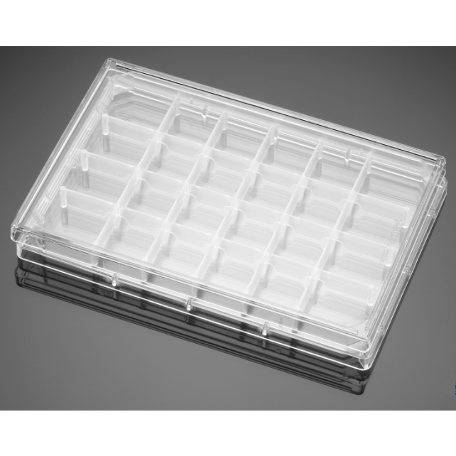 Falcon® 24-well Polystyrene Feeder Tray, with Lid, Sterile