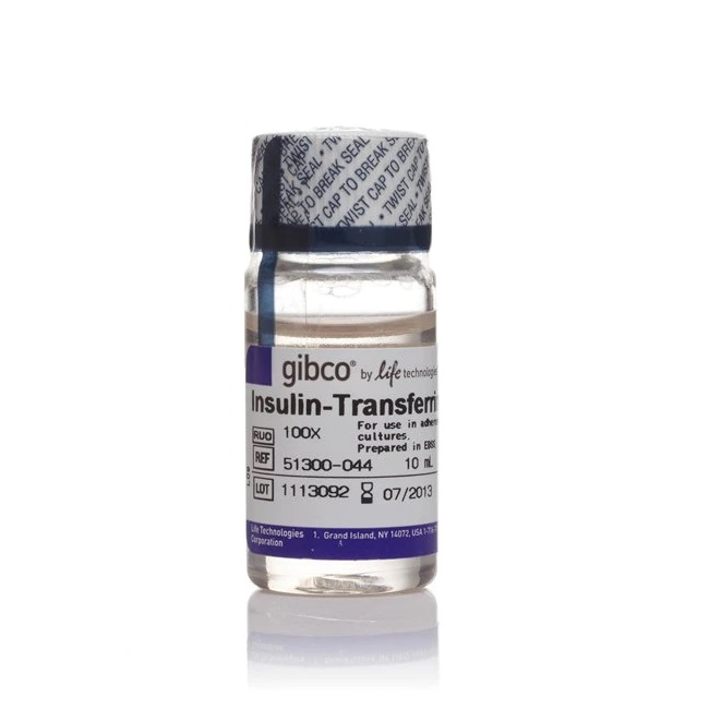Gibco™ Insulin-Transferrin-Selenium-Sodium Pyruvate (ITS-A) (100X), 10 mL