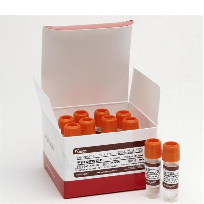 Gibco™ Puromycin Dihydrochloride, 10 x 1 mL