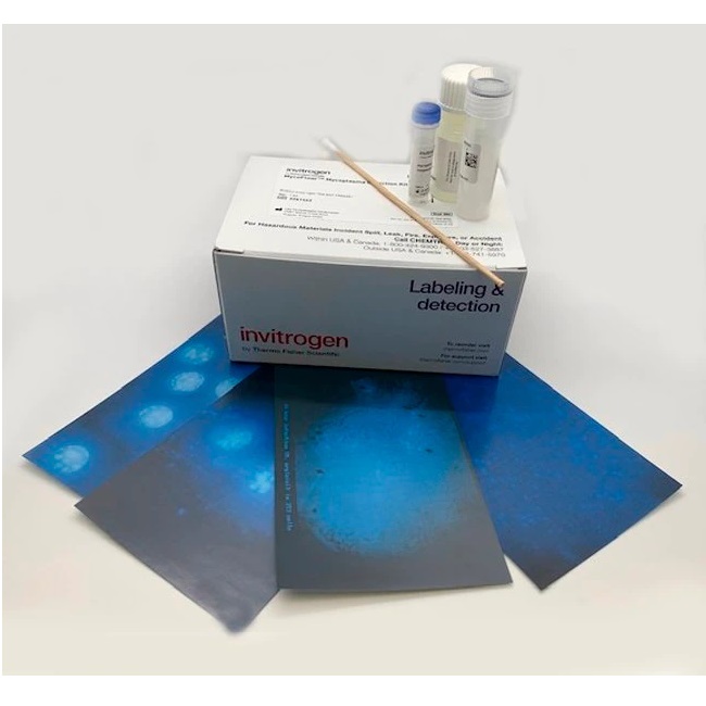Invitrogen™ MycoFluor™ Mycoplasma Detection Kit