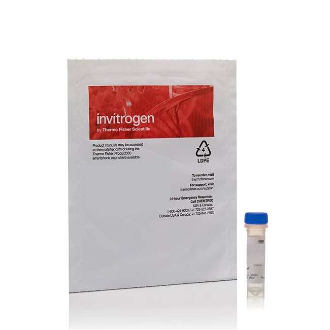 Invitrogen™ Lipopolysaccharides from Salmonella Minnesota, Alexa Fluor™ 488 conjugate, 100 µg