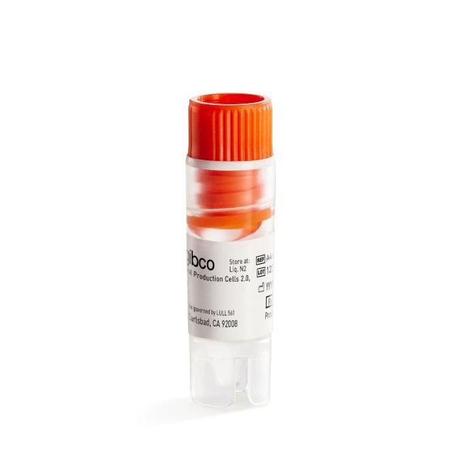 Gibco™ Viral Production Cells 2.0, 1 vial