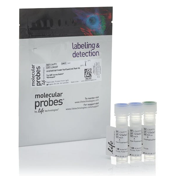 Invitrogen™ LIVE/DEAD™ Fixable Red Dead Cell Stain Kit, for 488 nm excitation, 80 Assays