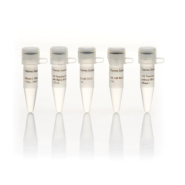 Thermo Scientific™ DNase I, RNase-free with MnCl2 (1 U/µL)