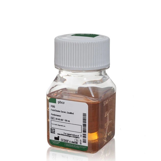 Gibco™ Fetal Bovine Serum, qualified, One Shot™ format, United States, 100 mL