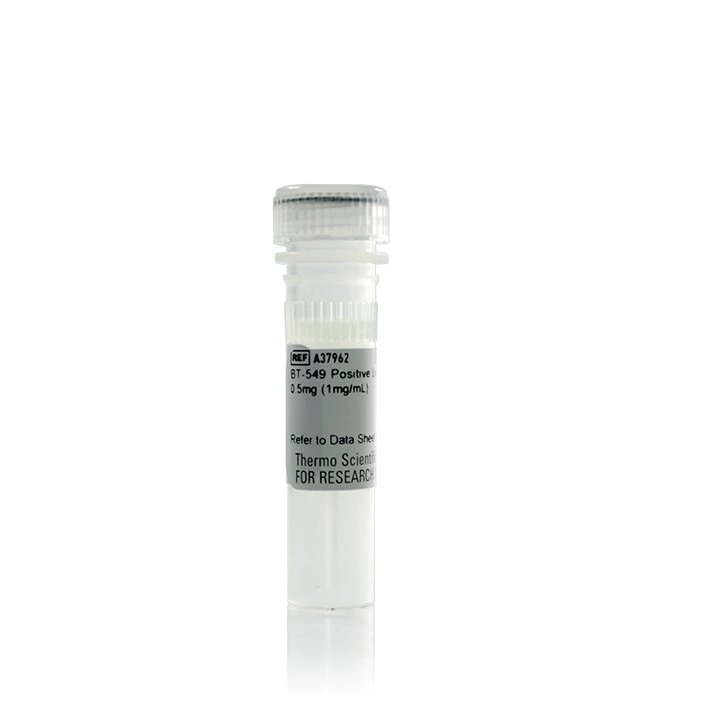 Thermo Scientific™ BT-549 Control Lysate (1mg/mL)