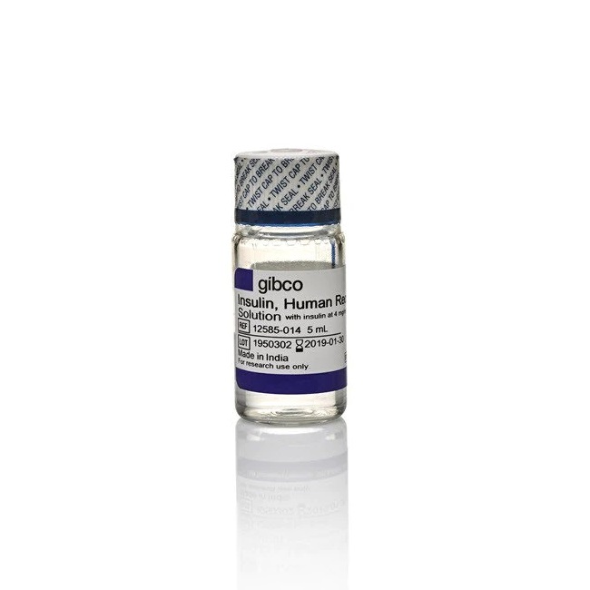 Gibco™ Insulin, human recombinant, zinc solution
