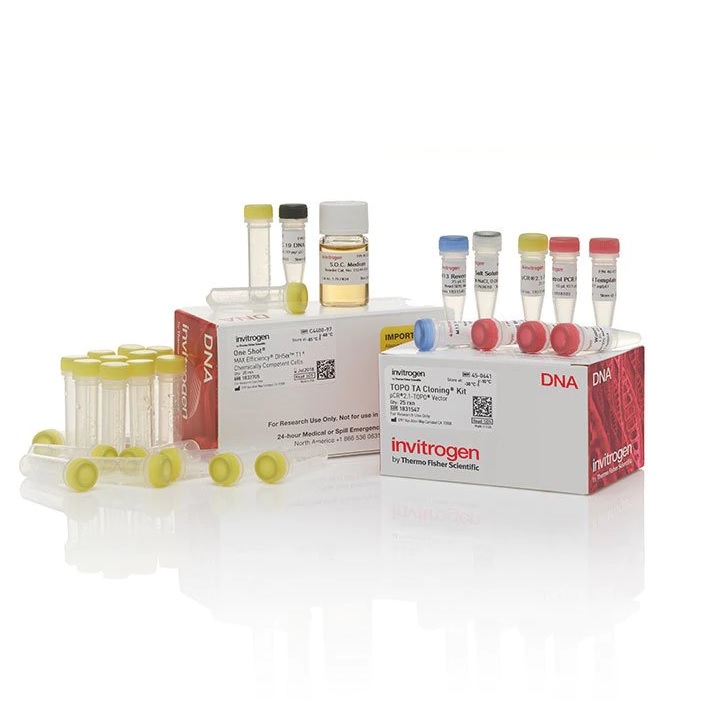 Invitrogen™ TOPO™ TA Cloning™ Kit, with One Shot™ MAX Efficiency™ DH5α-T1R E. coli, 50 Reactions