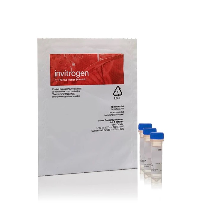 Invitrogen™ ImaGene Green™ C12FDG lacZ Gene Expression Kit