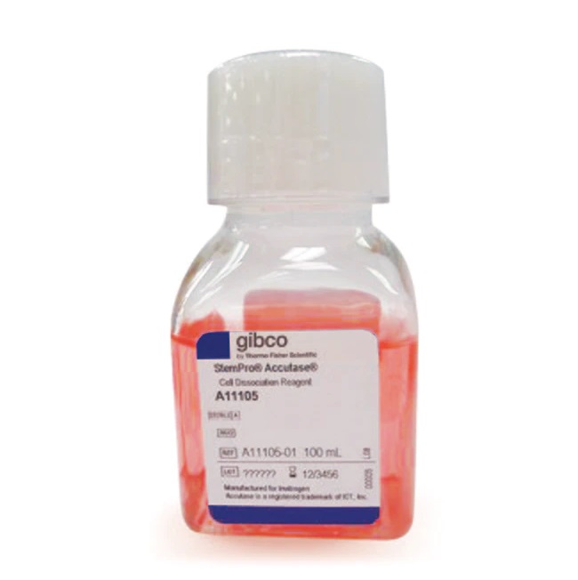 Gibco™ StemPro™ Accutase™ Cell Dissociation Reagent