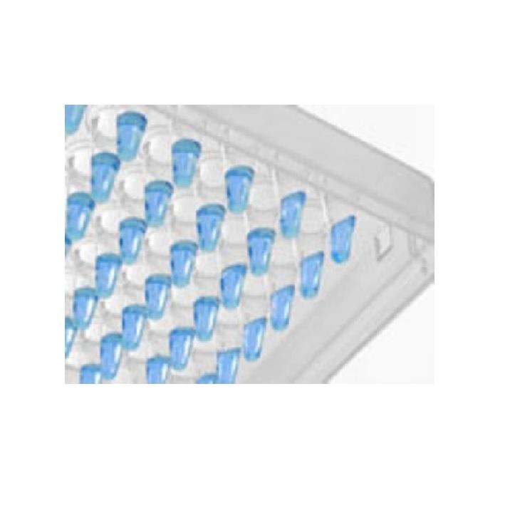 Thermo Scientific™ ABsolute Blue QPCR Mix, ROX, 1600 Reactions