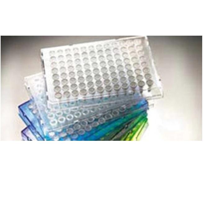 Thermo Scientific™ Armadillo PCR Plate, 96-well, Green, Semi-skirted, Low profile, white wells, Barcoded