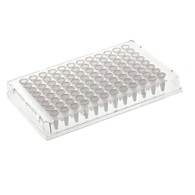 Thermo Scientific™ Armadillo PCR Plate, 96-well, Blue, Clear wells