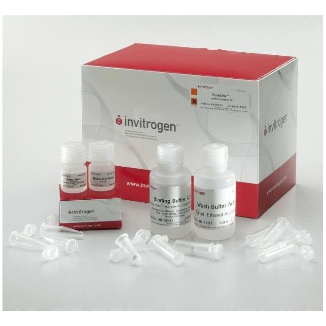 Invitrogen™ PureLink™ miRNA Isolation Kit