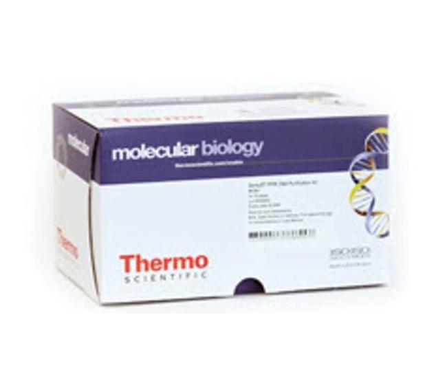 Thermo Scientific™ GeneJET Endo-Free Plasmid Maxiprep Kit