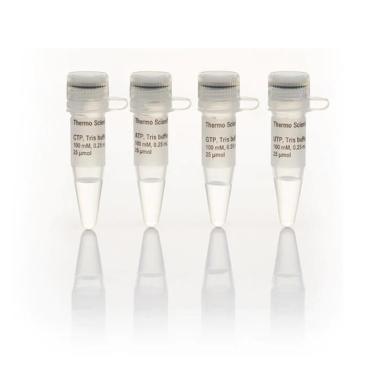 Thermo Scientific™ NTP Set, Tris buffered