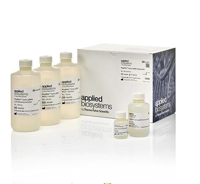 Applied Biosystems™ MagMAX™ Saliva gDNA Isolation Kit, 500 Reactions