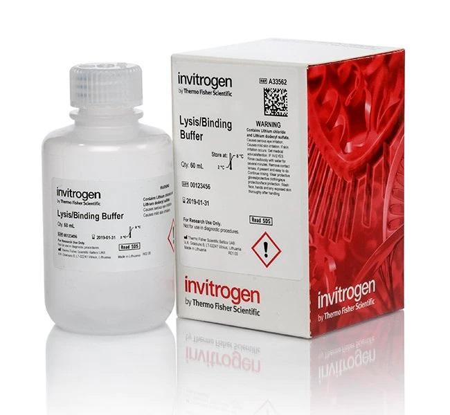 Invitrogen™ Wash Buffer B for Dynabeads™ mRNA Purification Kits