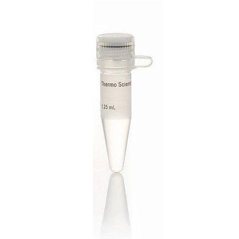 Thermo Scientific™ Taq Buffer (10X), with KCl and 15 mM MgCl2