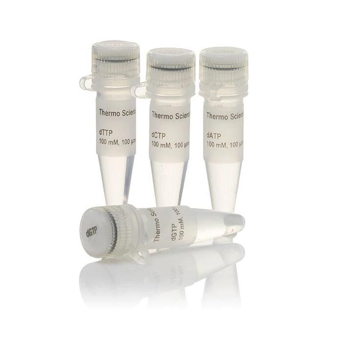 Thermo Scientific™ dNTP Set 100 mM Solutions, 1 mL