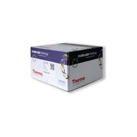 Thermo Scientific™ GeneJET Stabilized and Fresh Whole Blood RNA Kit