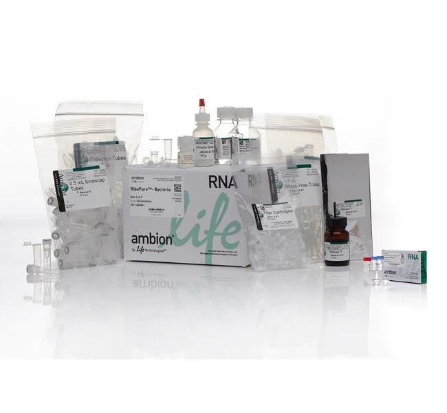 Invitrogen™ RiboPure™ RNA Purification Kit, Bacteria