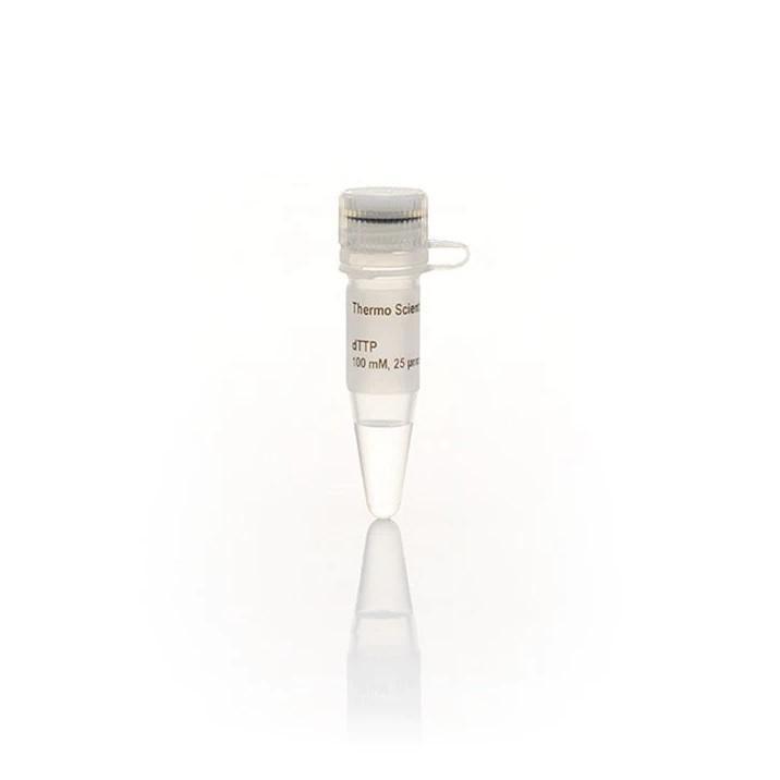 Thermo Scientific™ dTTP Solution (100 mM)