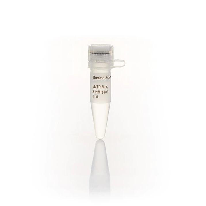 Thermo Scientific™ dNTP Mix (2 mM each), 5 mL