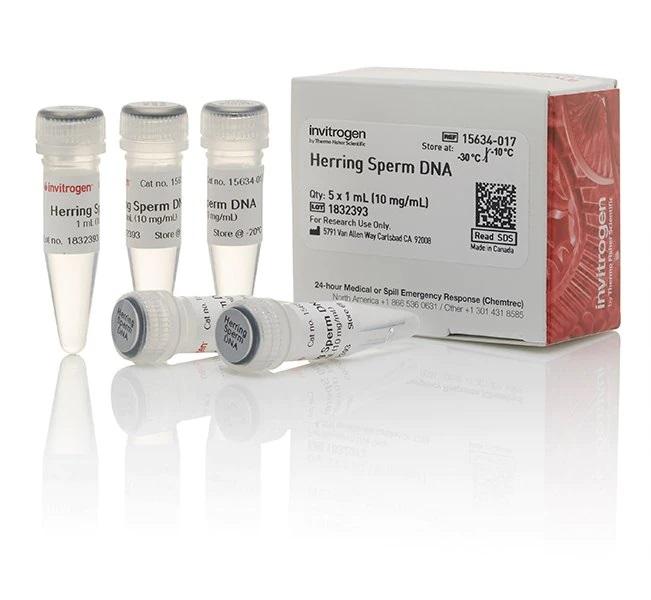 Invitrogen™ UltraPure™ Herring Sperm DNA Solution