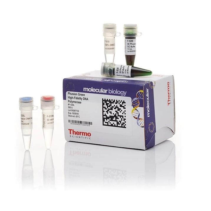 Thermo Scientific™ Phusion Green High-Fidelity DNA Polymerase (2 U/µL), 500