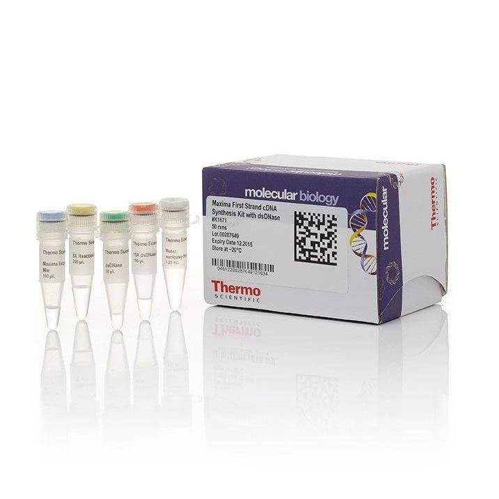 Thermo Scientific™ Maxima First Strand cDNA Synthesis Kit for RT-qPCR, with dsDNase, 50