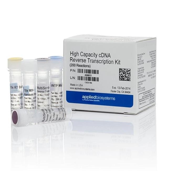 Applied Biosystems™ High-Capacity cDNA Reverse Transcription Kit, 1000 Reactions