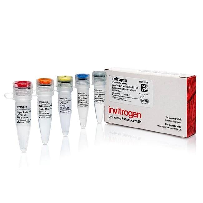 Invitrogen™ SuperScript™ IV One-Step RT-PCR System with ezDNase™, 100 Reactions