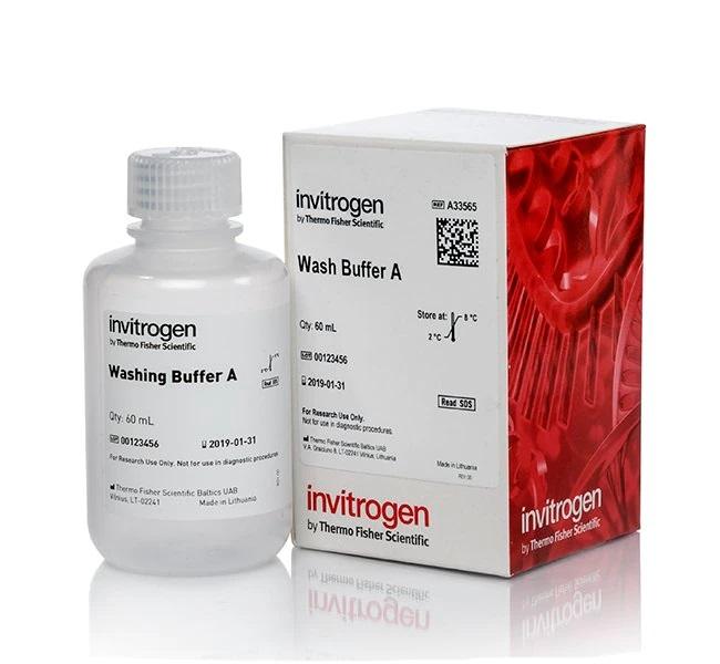 Invitrogen™ Wash Buffer A for Dynabeads™ mRNA Purification Kits