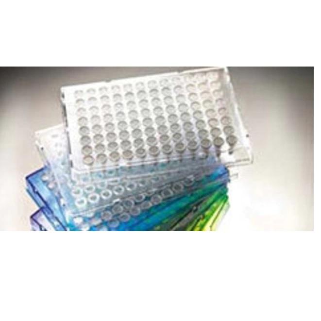 Thermo Scientific™ Armadillo PCR Plate, 96-well, Green, Semi-skirted, Clear wells, Barcoded