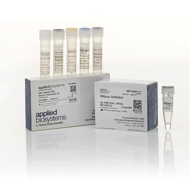 Applied Biosystems™ High-Capacity cDNA Reverse Transcription Kit with RNase Inhibitor, 1000 Reactions