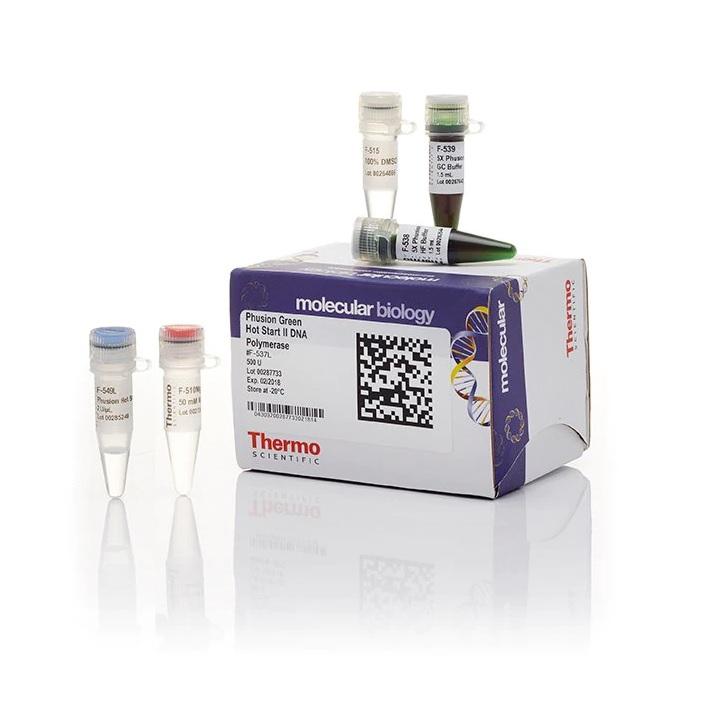 Thermo Scientific™ Phusion Green Hot Start II High-Fidelity DNA Polymerase (2 U/µL), 500