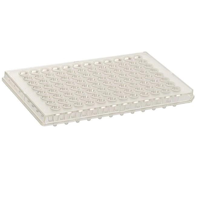 Thermo Scientific™ Armadillo PCR Plate, 96-well, Clear, Semi-skirted, Low profile, Clear wells