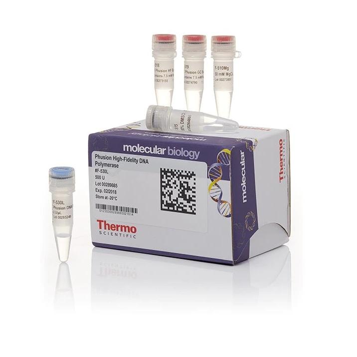 Thermo Scientific™ Phusion™ High-Fidelity DNA Polymerase (2 U/µL), 500