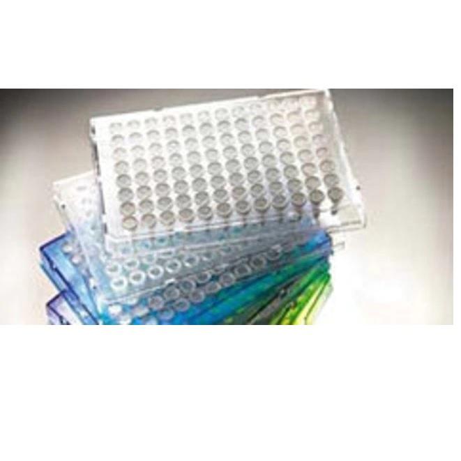 Thermo Scientific™ Armadillo PCR Plate, 96-well, Orange, semi-skirted, low profile, White wells