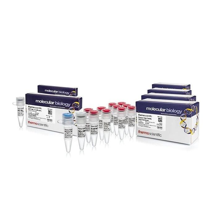 Thermo Scientific™ Phusion™ High-Fidelity DNA Polymerase & dNTP Mix (10 mM each)
