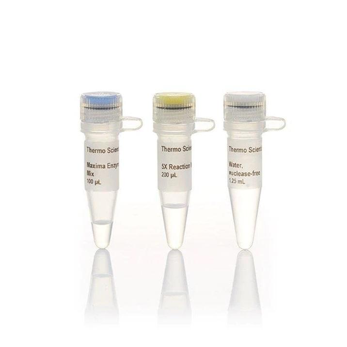Thermo Scientific™ Maxima First Strand cDNA Synthesis Kit for RT-qPCR, 200