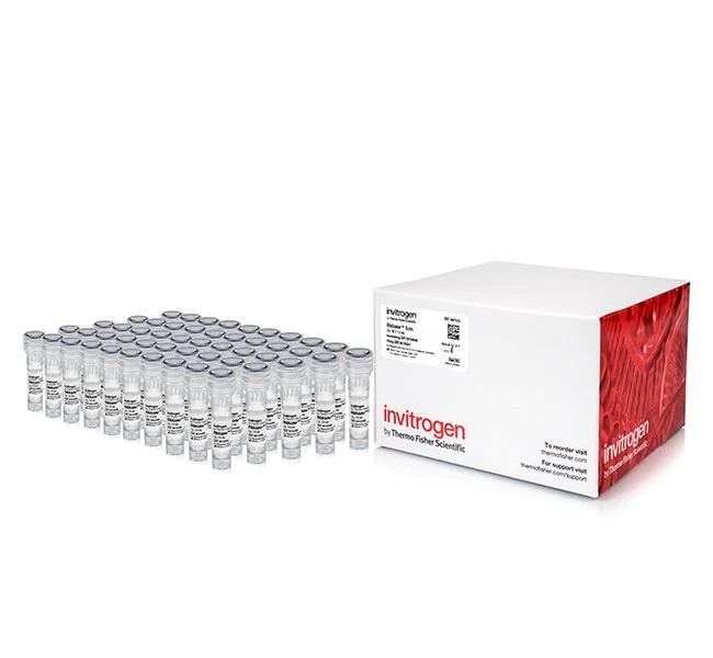 Invitrogen™ RNAlater™ Stabilization Solution with Manual, 20 x 5 mL