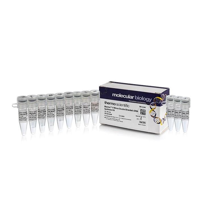 Thermo Scientific™ Maxima H Minus Double-Stranded cDNA Synthesis Kit, 50
