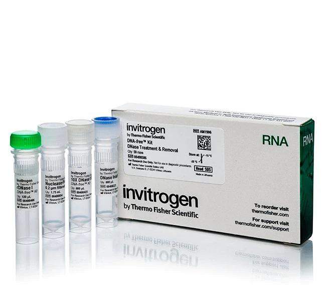 Invitrogen™ DNA-free™ DNA Removal Kit
