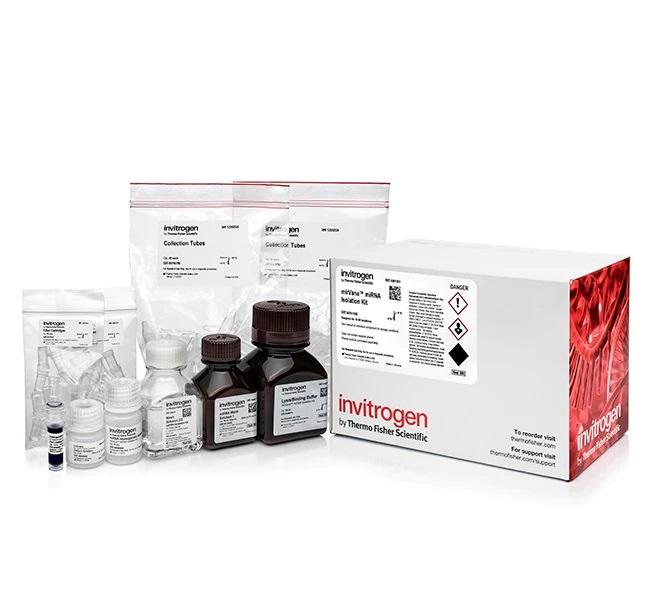 Invitrogen™ mirVana™ miRNA Isolation Kit, Without Phenol