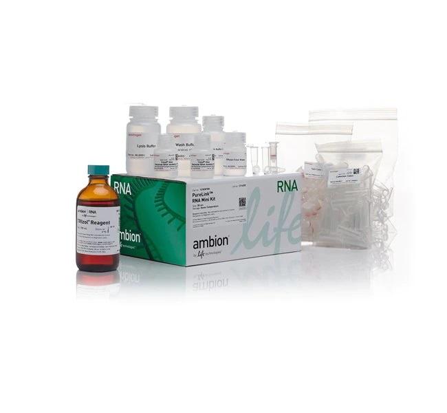 Invitrogen™ TRIzol™ Plus RNA Purification Kit