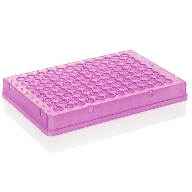 Thermo Scientific™ PCR Plate, 96-well, low profile, skirted, Black Lettering, Purple
