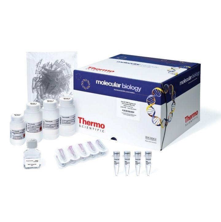 Thermo Scientific™ GeneJET RNA Cleanup and Concentration Micro Kit, 250 Preps